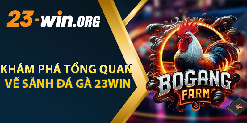 Khám Phá Tổng Quan Về Sảnh Đá Gà 23win