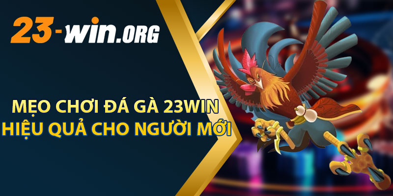 Mẹo Chơi Đá Gà 23win Hiệu Quả Cho Người Mới