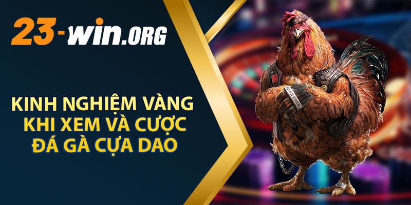 Những Kinh Nghiệm Vàng Khi Xem Và Cược Đá Gà Cựa Dao